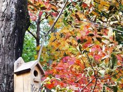 -玉渡山自然风景区