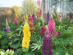 -南通洲际绿博园