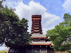 -塔子山公园