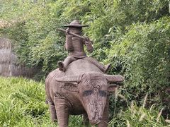 -溱湖国家湿地公园