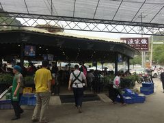 -京北渔家傲