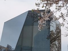 -龙美术馆(西岸馆)