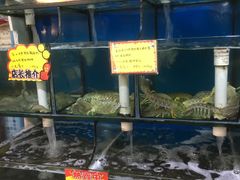 -蚝专家(北滘店)
