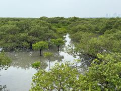 -北海金海湾红树林生态旅游区