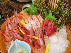 三文鱼腩-吉盛川创作料理(保利国际广场店)