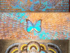 -上海昆虫博物馆