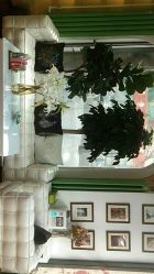 -艺米阳光Hair Salon