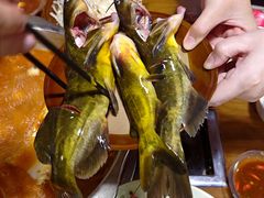 -苗家恒灵酸汤鱼-跳水牛肉连锁店(凯里总店)