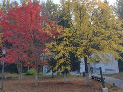 -长春世界雕塑园冰雪艺术天地