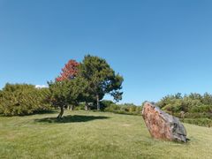 -塘沽森林公园
