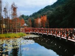 -广州市石门国家森林公园