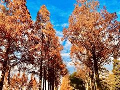 -南北湖风景区