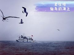 -兴旺渔家