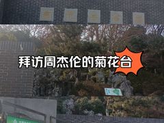 -菊花台公园