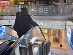 -盒马鲜生(双清路店)
