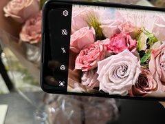 -循礼门鲜花花市(武汉循礼门店)