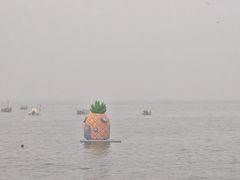 -八两八金·莱芜特色炒鸡(市南漳浦路店)