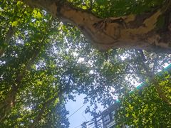 -思南书局·诗歌店