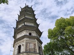 -苏州上方山国家森林公园