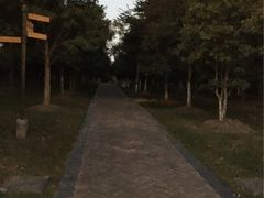 -花溪公园