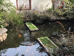 -唐风温泉