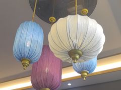 -野菌皇海景野生菌火锅(滨海大道店)
