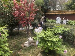 -横店影视城明清宫苑园区