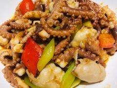 八爪鱼-付掌柜在成都·热炒砂锅集(金禾店)