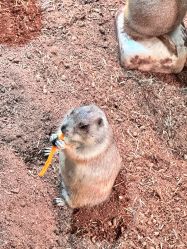 -Zoolung Zoolung动物主题公园(海信广场店)