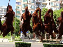 -壹只卤鹅·潮汕菜(莲塘店)