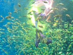 -海合安青岛极地海洋公园