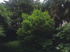 -上海蔡元培故居陈列馆