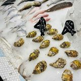 哇塞！北京西路上发现一家宝藏小海鲜！