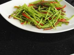 -云中小雅