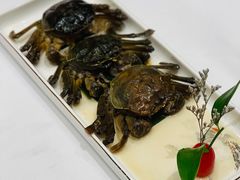 醉蟹-上海老饭店(北京分店)