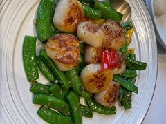 蜜豆带子-三号黄浦会Canton Table