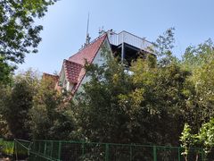 -泰丰公园