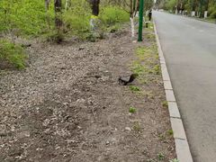 -黑龙江省森林植物园