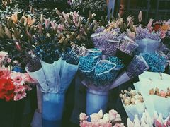 -桂林市花鸟市场