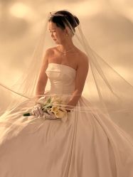 -金夫人婚纱摄影(总店)