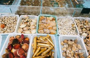 Live Seafood Pool