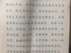 -白洋淀景区