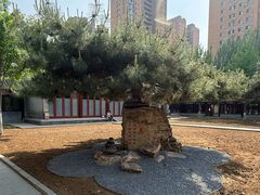 -护国法轮寺