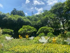 -晓港公园