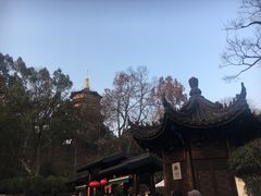 -西湖游船