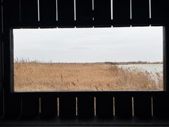-盐城丹顶鹤湿地生态旅游区