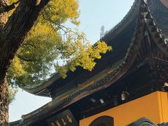 -西园寺素食(西园弄戒幢律寺店)