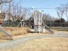 -前小桔亲子创意农场·草莓采摘·露营烧烤