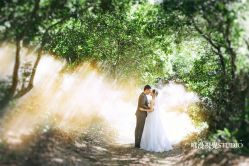 林间小公路客片-巴黎婚纱摄影工作室