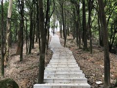 -火炉山森林公园